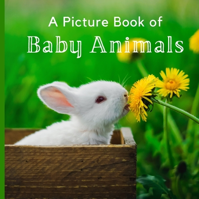 A Picture Book of Baby Animals: A Beautiful Picture Book for Seniors With Alzheimer’s or Dementia. (Picture Books For Seniors)