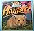 Hamsters (First Pets)