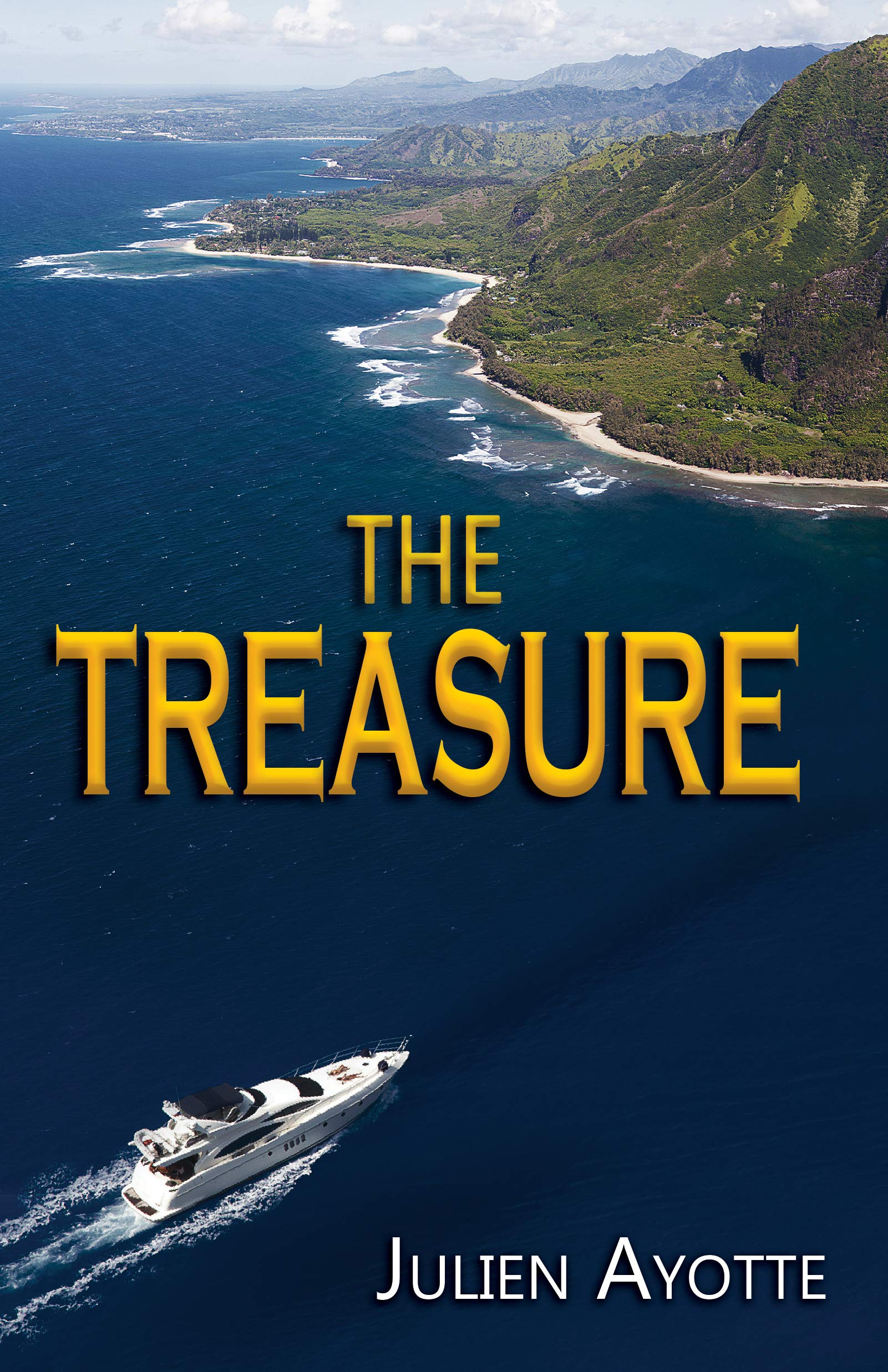 The Treasure (Kindle Edition)
