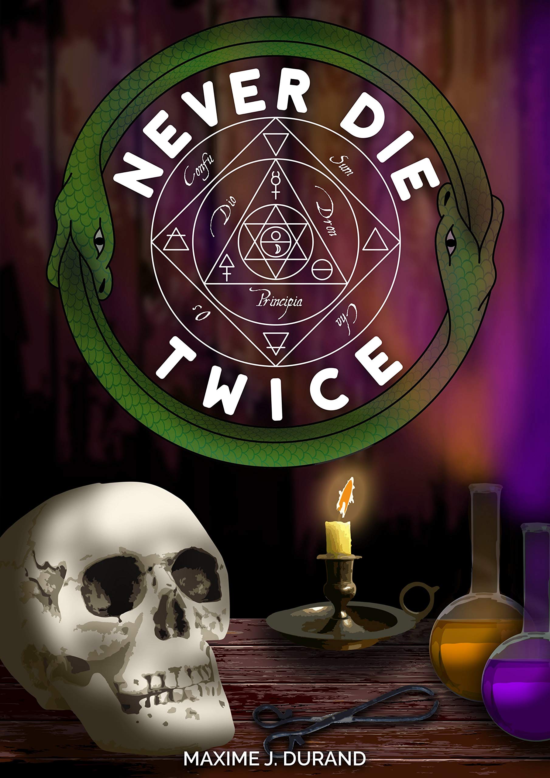 Never Die Twice (Kindle Edition)