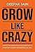 GROW LIKE CRAZY: How to turn around every challenge into an opportunity and grow your business like crazy