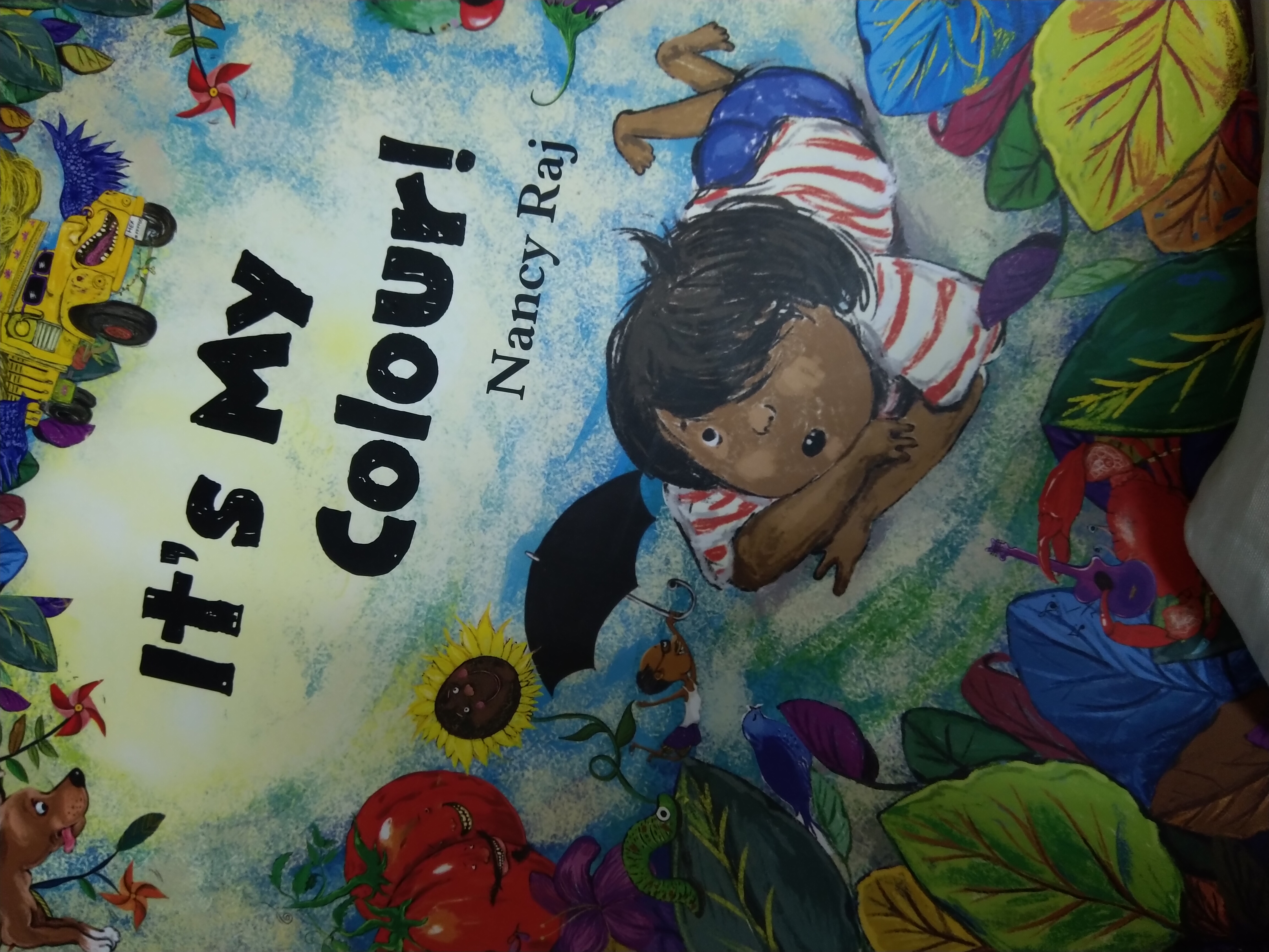 It's My Colour! (Paperback)