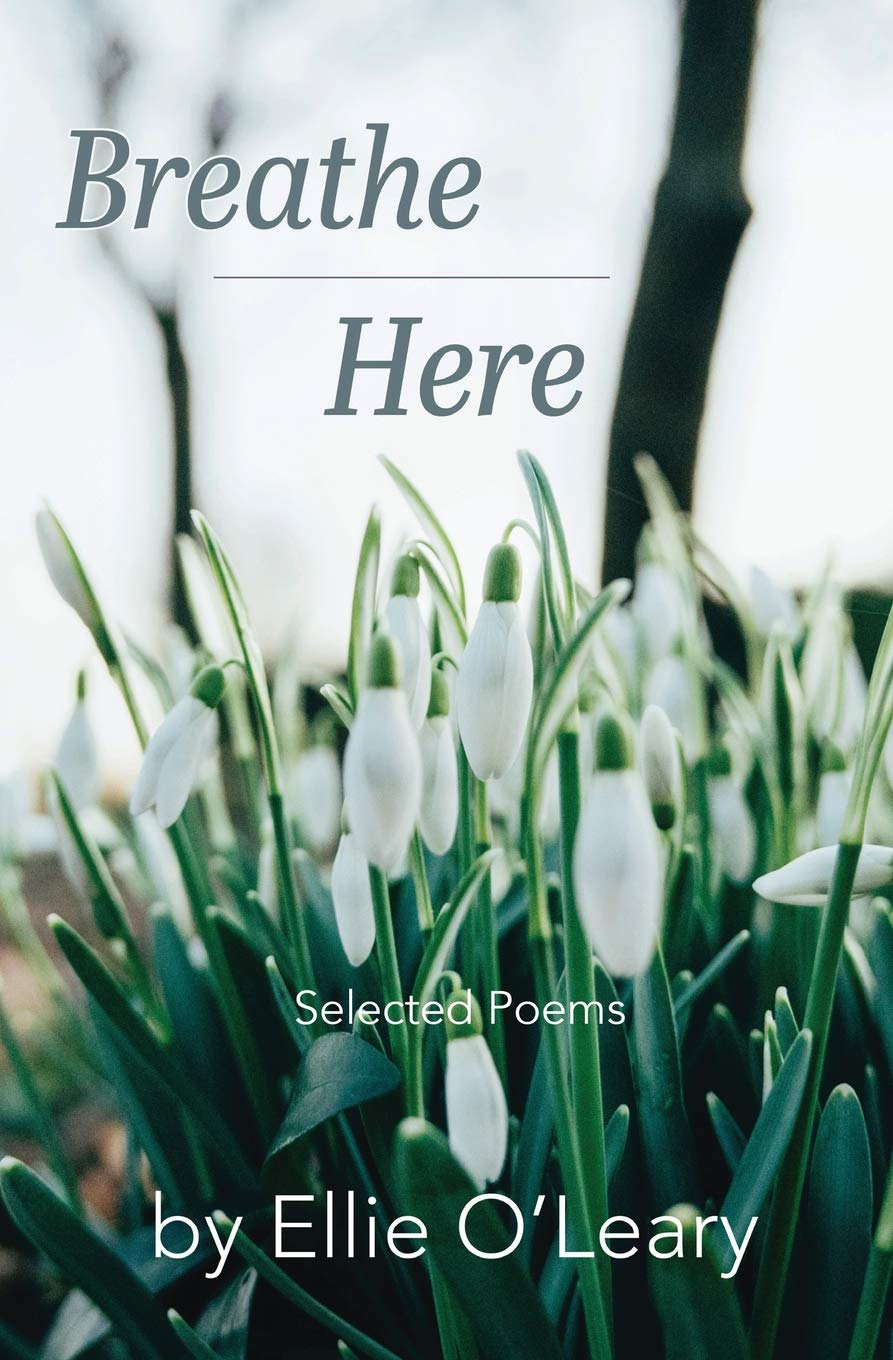 Breathe Here (Paperback)