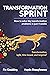Transformation Sprint: How to fix big transformation problems in just 4 weeks (Digital transformation simplified Book 1)
