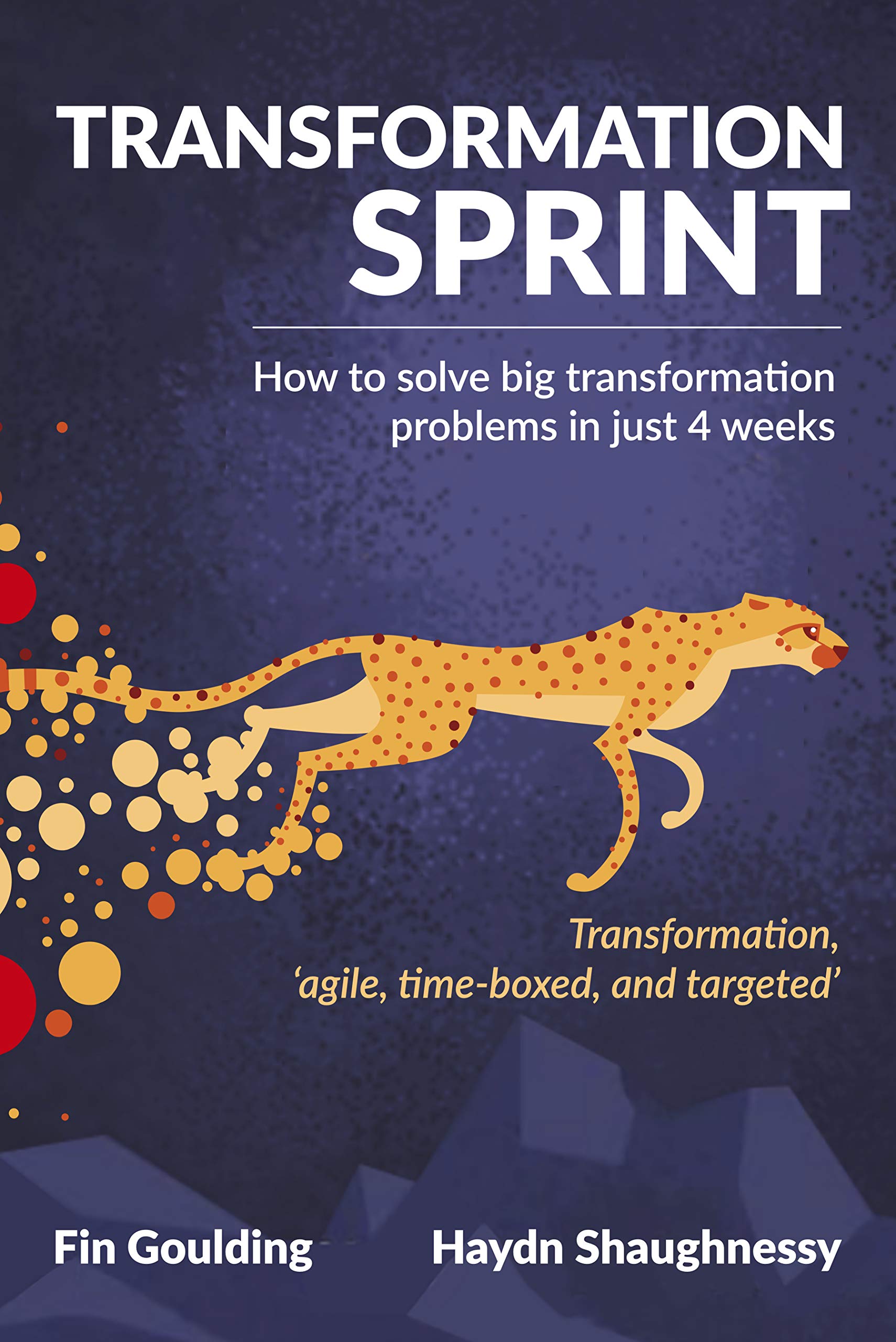 Transformation Sprint: How to fix big transformation problems in just 4 weeks (Digital transformation simplified Book 1)