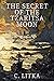 The Secret of the Tzaritsa Moon (A Nine Star Nebula Mystery Adventure Book 1)