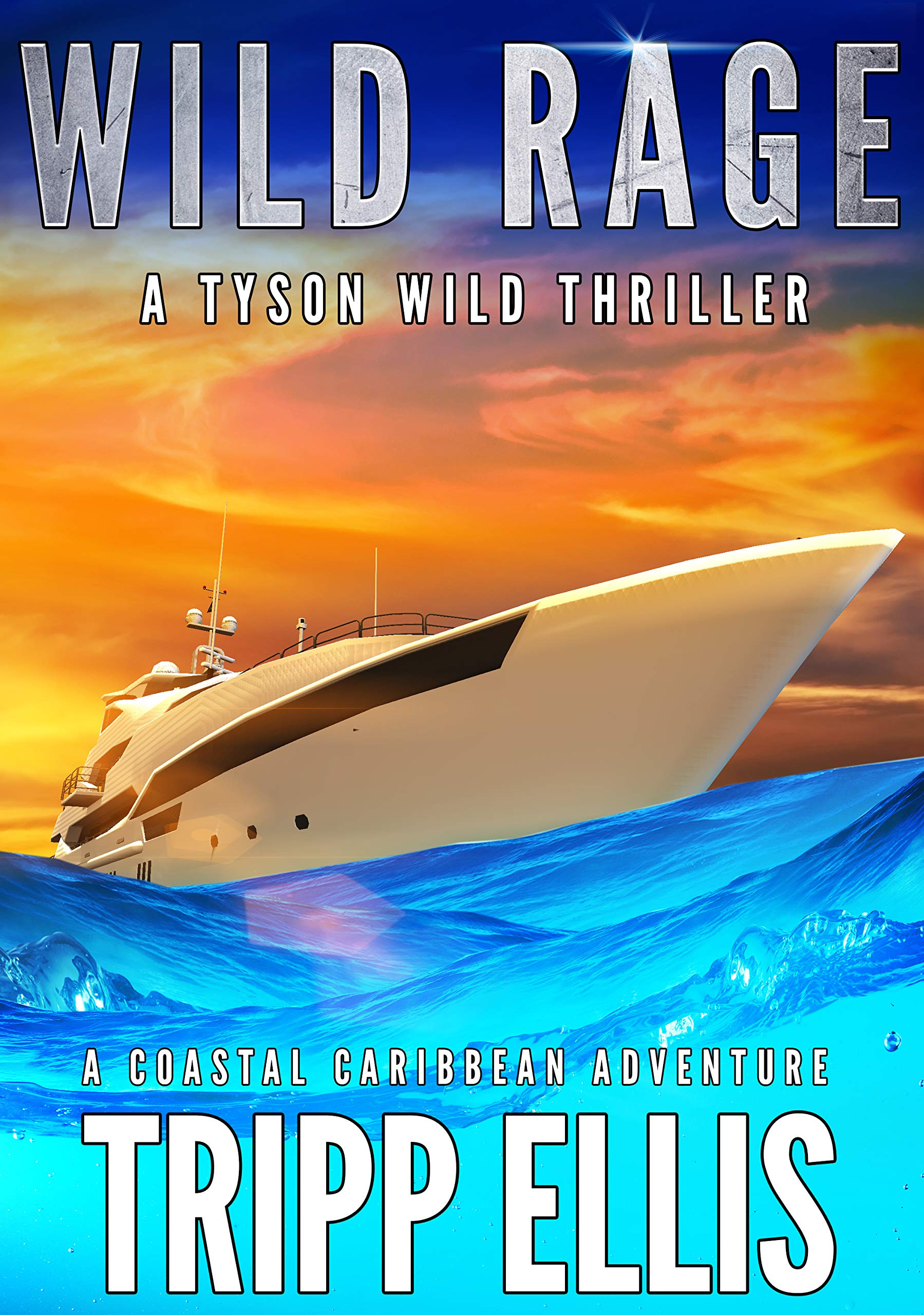 Wild Rage (Tyson Wild Thriller, #23)