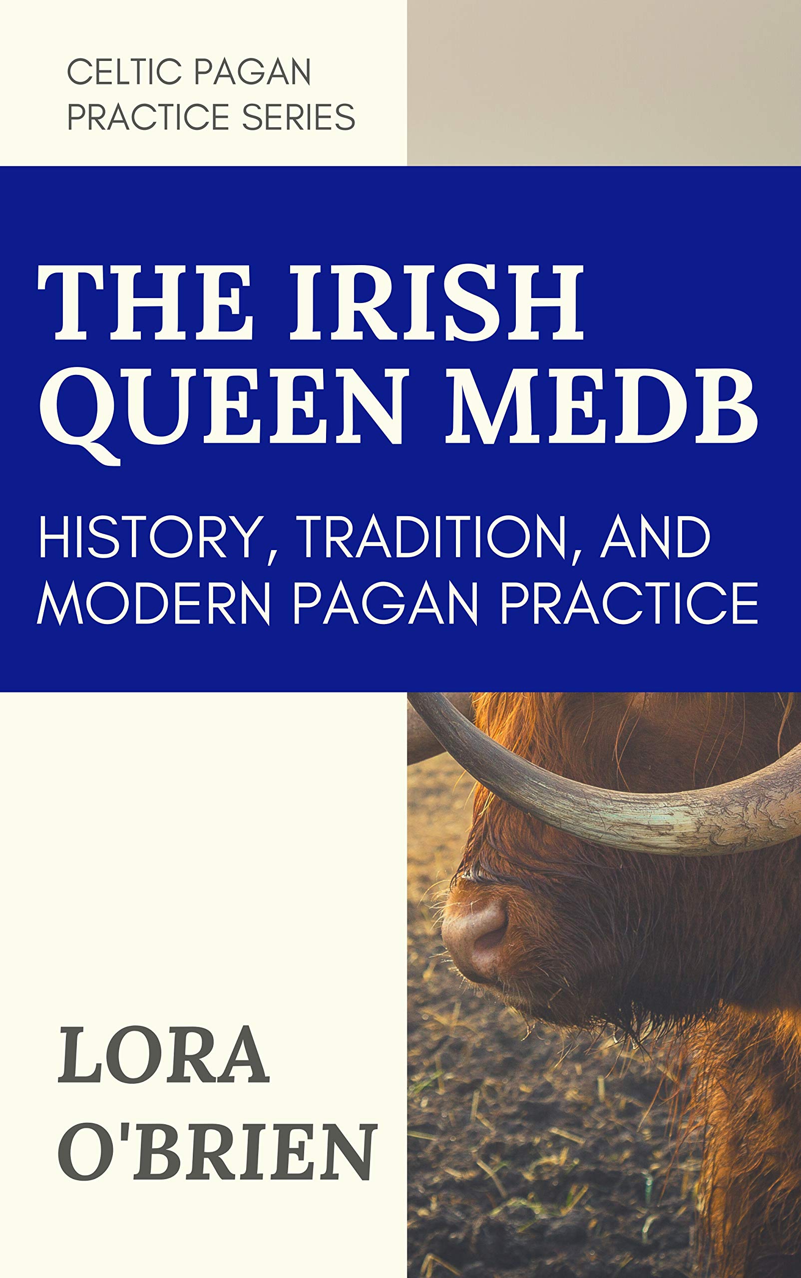 The Irish Queen Medb: History, Tradition, and Modern Pagan Practice (Kindle Edition)