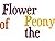 Flower of the Peony - A Japanese Fairy Tale