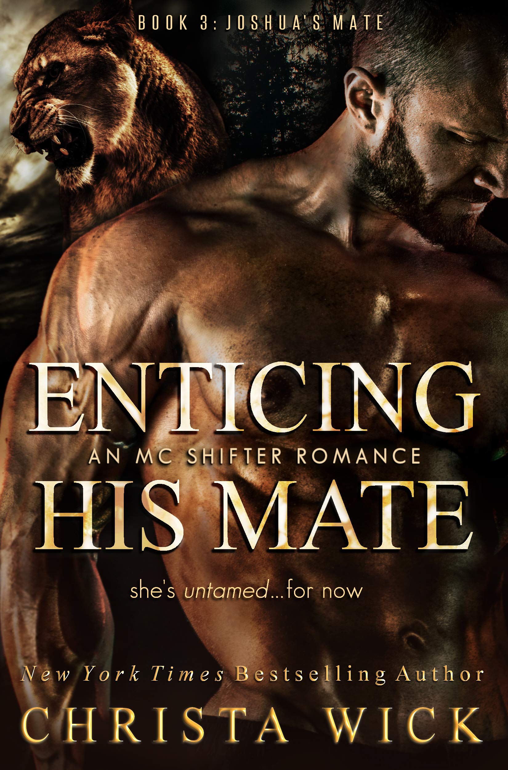 Enticing His Mate: Joshua & Clover (Protected by the Pack, #3)