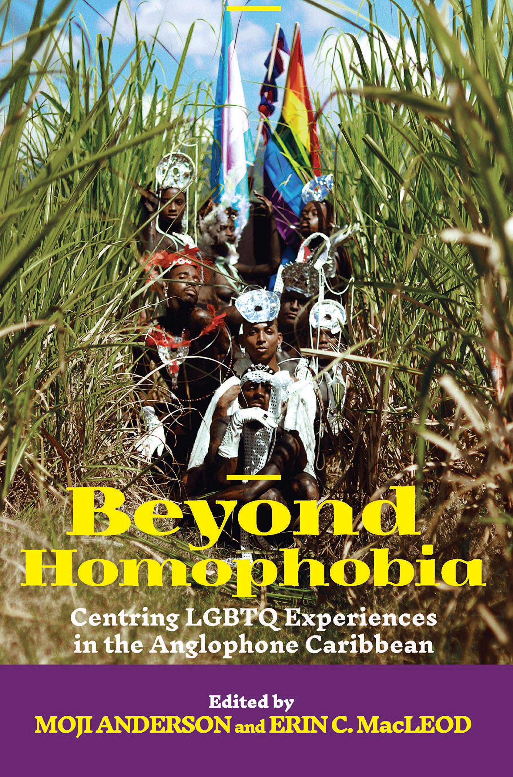 Beyond Homophobia: Centring LGBTQ Experiences in the Anglophone Caribbean (Kindle Edition)