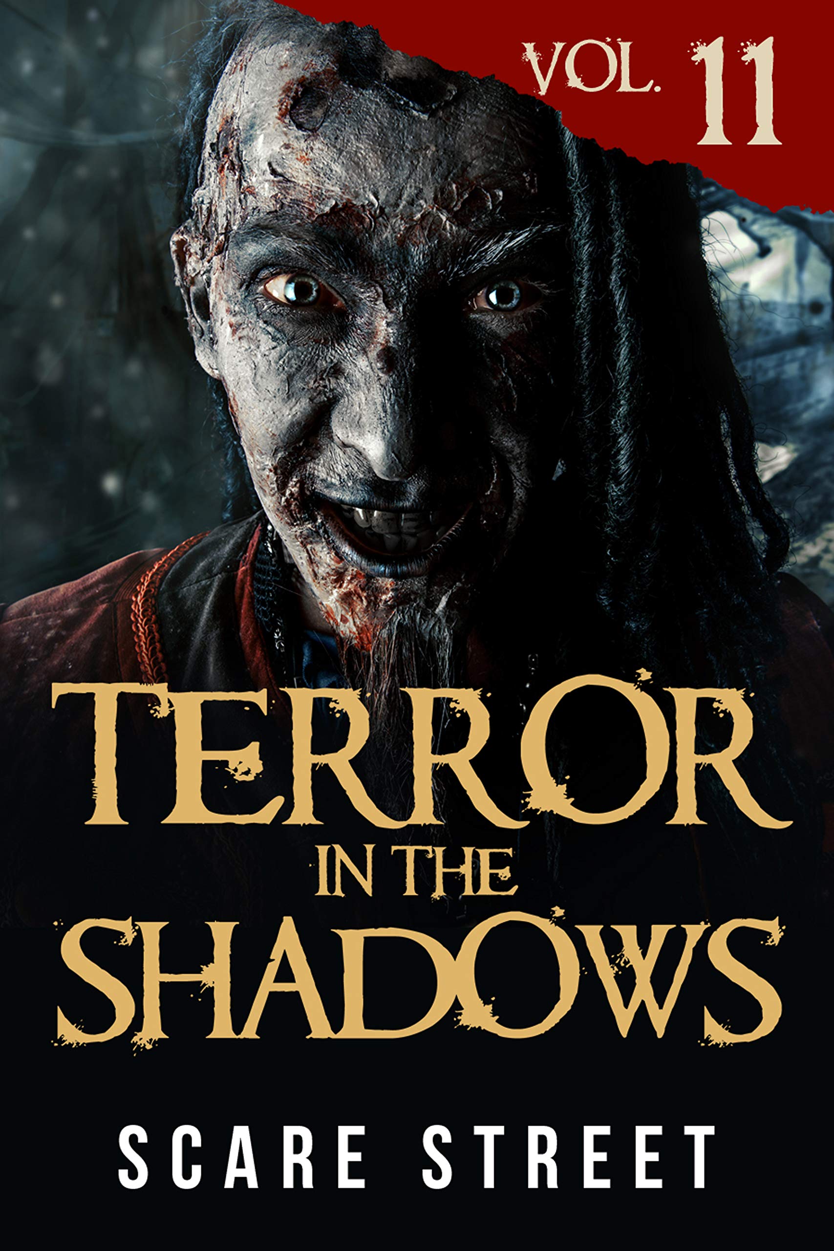 Terror in the Shadows Vol. 11 (Kindle Edition)