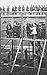 The trial of the alleged assassins and conspirators at Washin... by Military United States