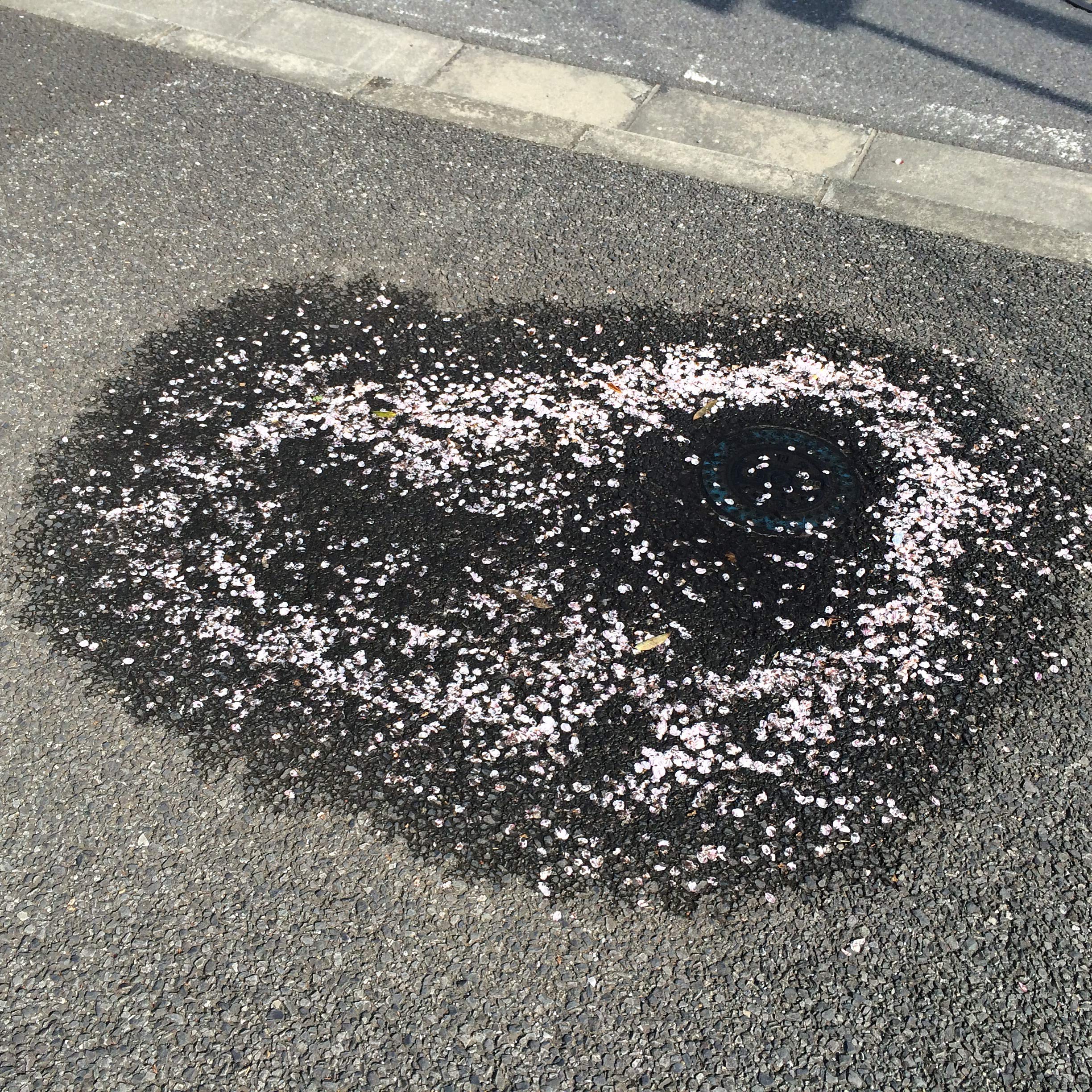 ‫بإبهامي: خواطر‬ (Arabic Edition)