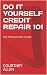 DO IT YOURSELF CREDIT REPAI...