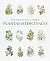 EL MUNDO DE LAS PLANTAS MEDICINALES