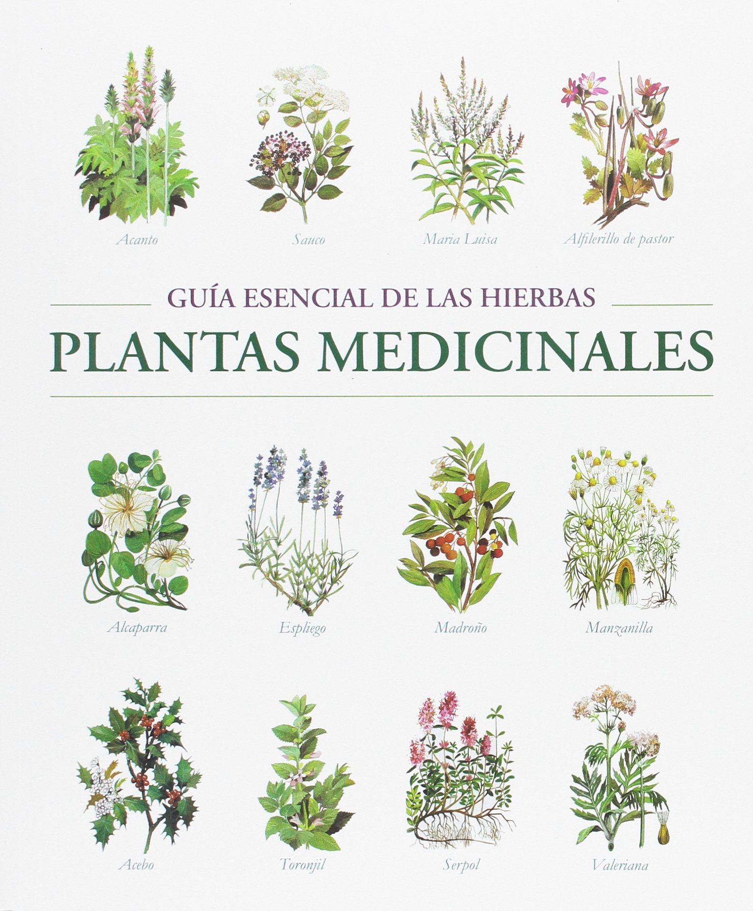 EL MUNDO DE LAS PLANTAS MEDICINALES (Paperback)