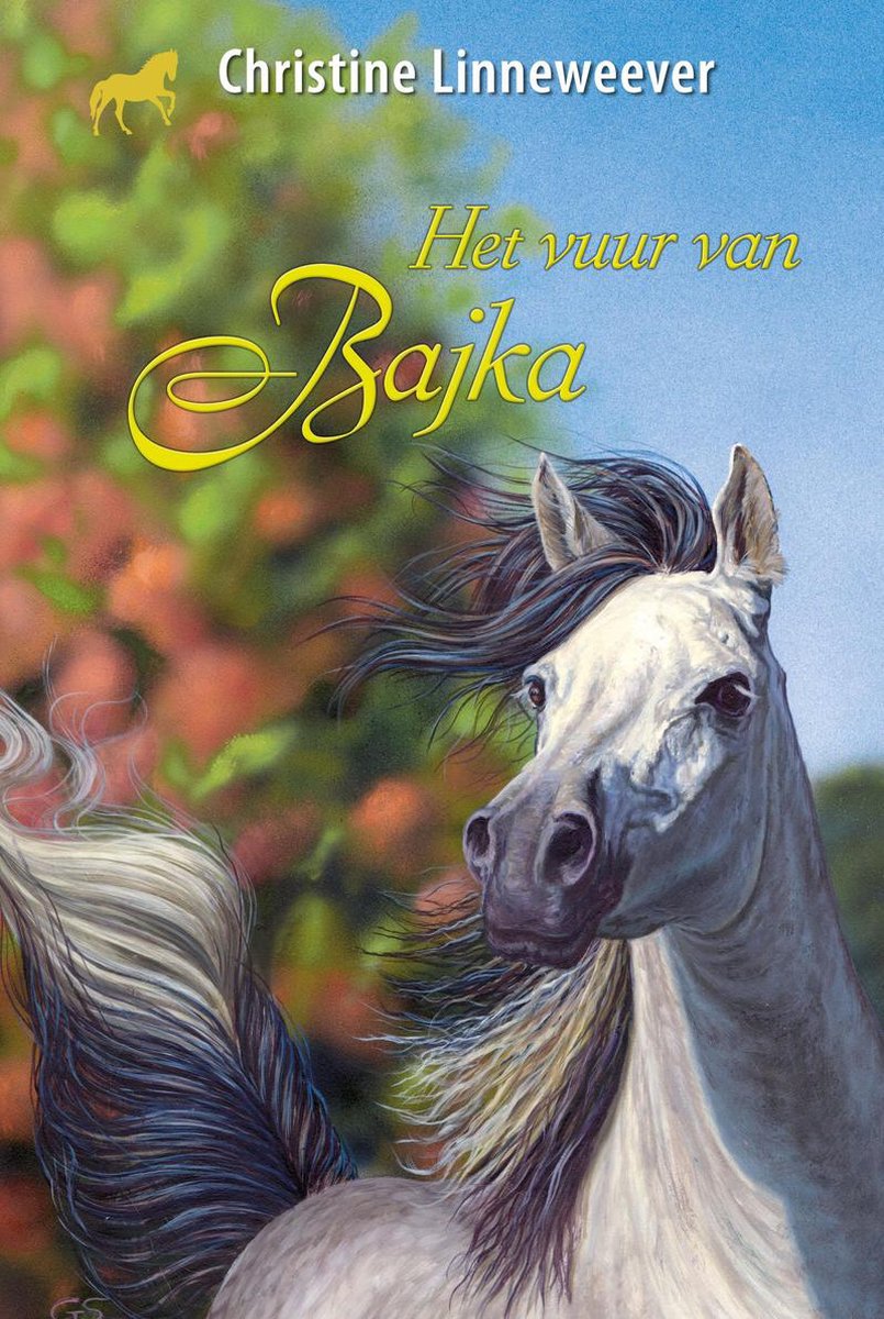 Het vuur van Bajka (Hardcover)