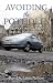 AVOIDING THE POTHOLES: Prev...
