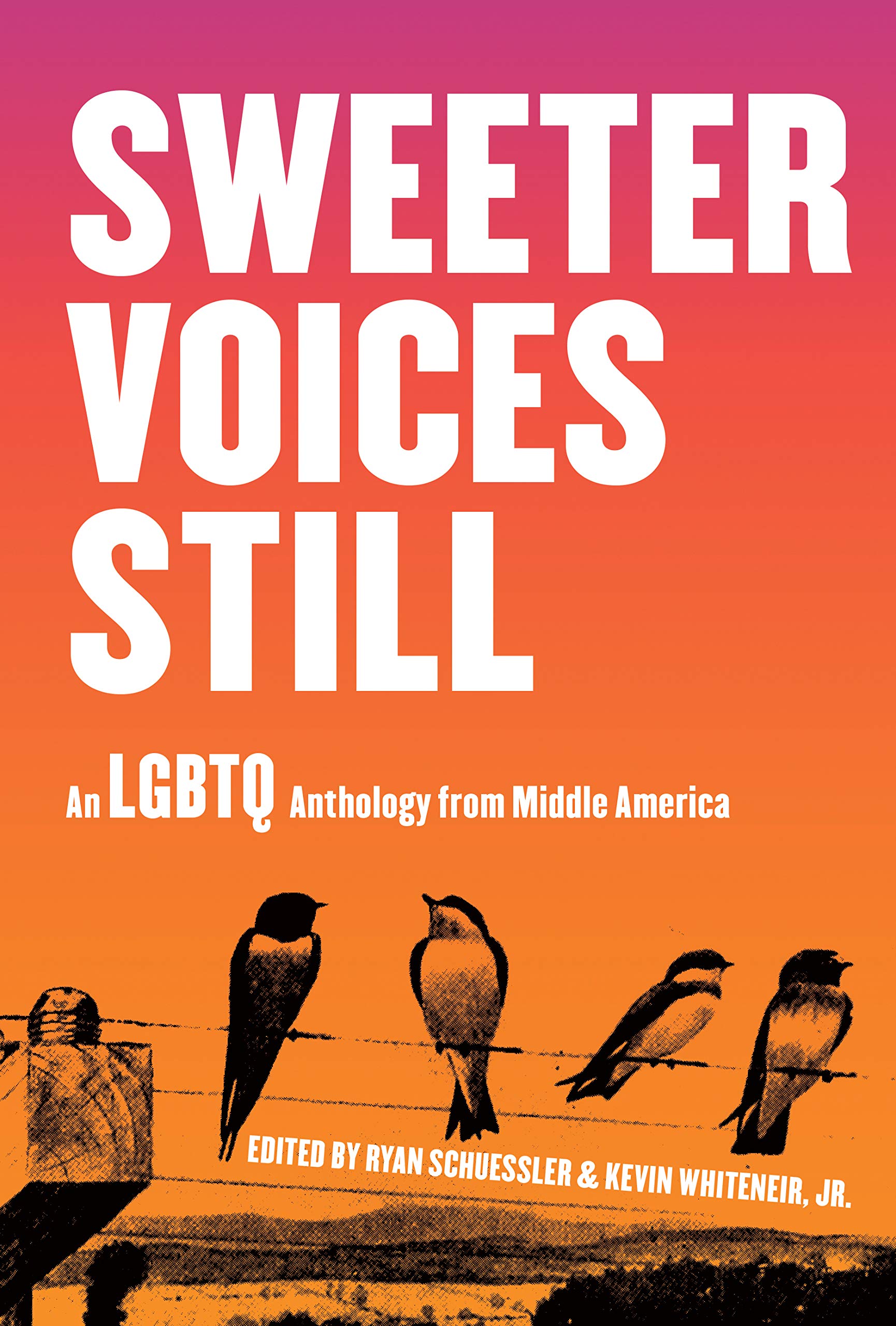 Sweeter Voices Still: An LGBTQ Anthology from Middle America (Paperback)