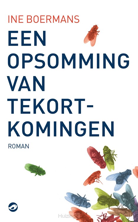 Een opsomming van tekortkomingen (Paperback)