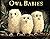 Owl Babies by Martin Waddell