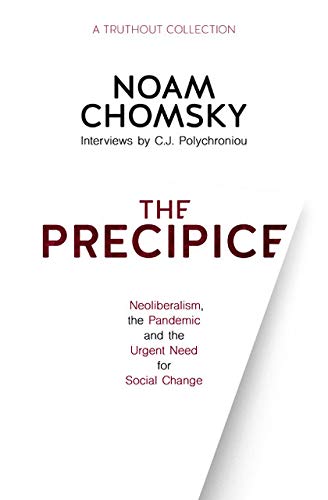The Precipice: Neoliberalism, the Pandemic, and the Urgent Need for Radical Change (Kindle Edition)
