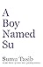 A Boy Named Su: Stories fro...