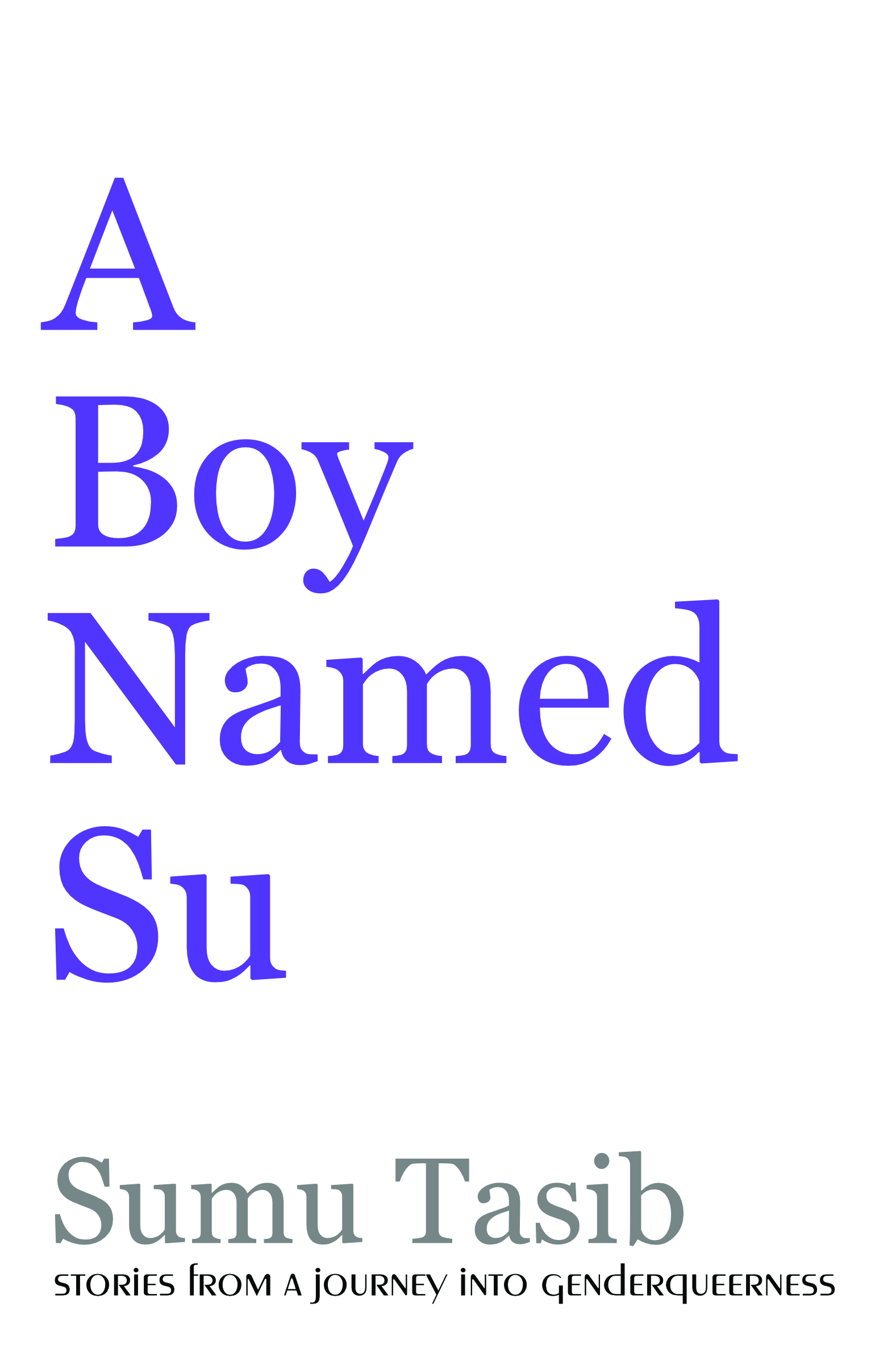 A Boy Named Su: Stories from a Journey Into Genderqueerness
