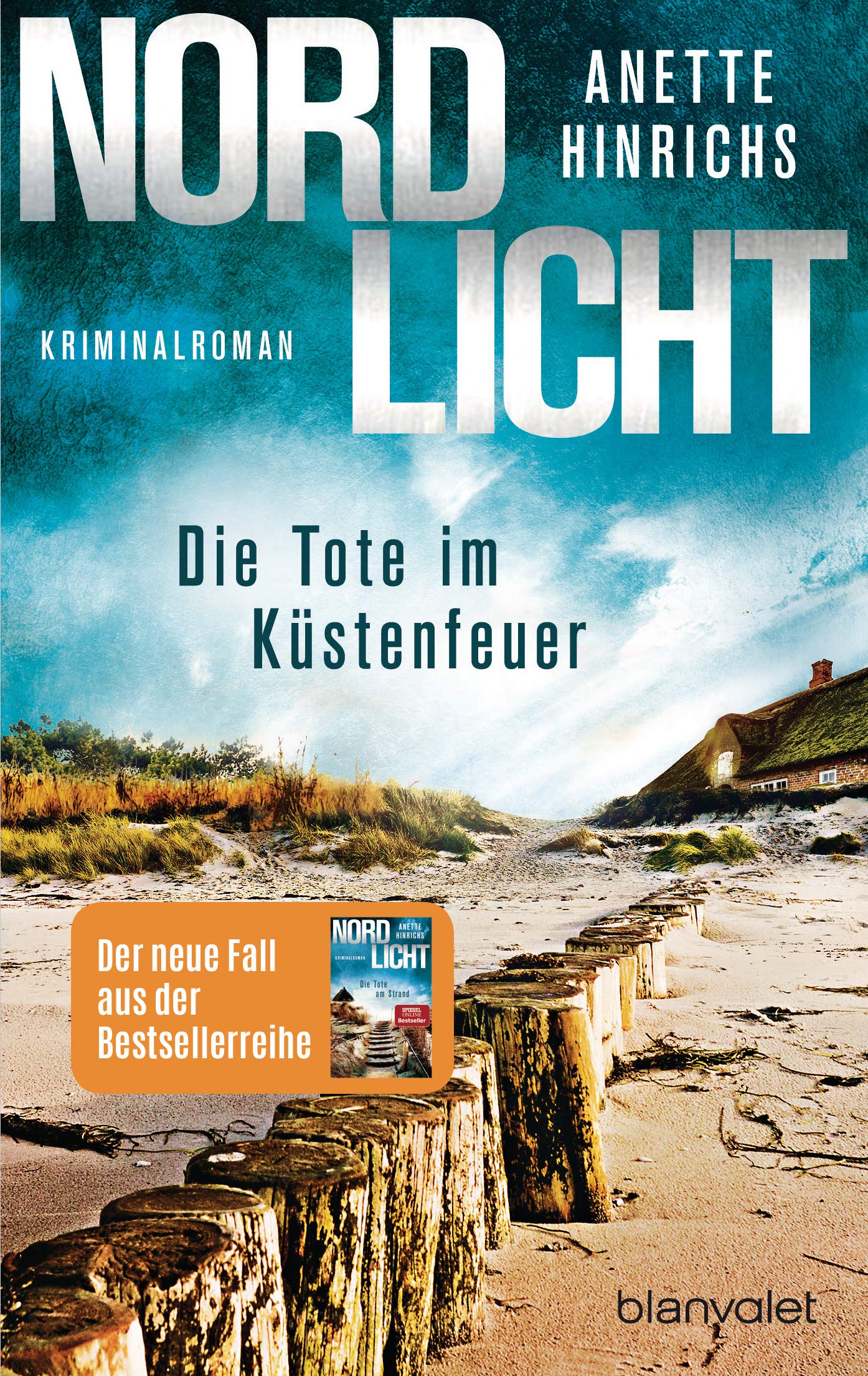 Nordlicht - Die Tote im Küstenfeuer  (Boisen & Nyborg, #3)