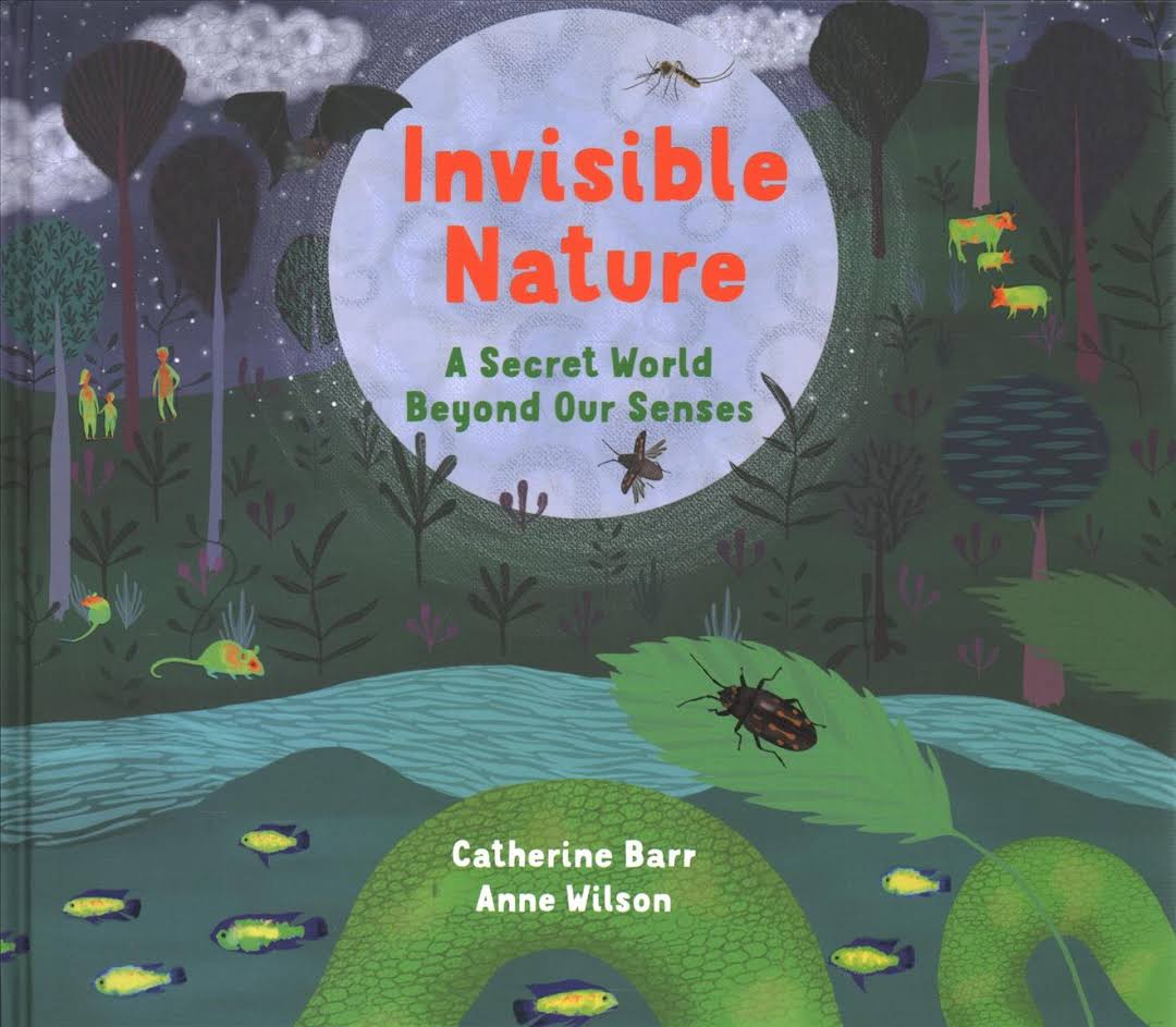 Invisible Nature: A Secret World Beyond our Senses (Hardcover)
