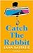 Catch the Rabbit