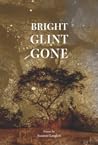 Bright Glint Gone by Suzanne  Langlois