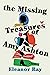 The Missing Treasures of Amy Ashton