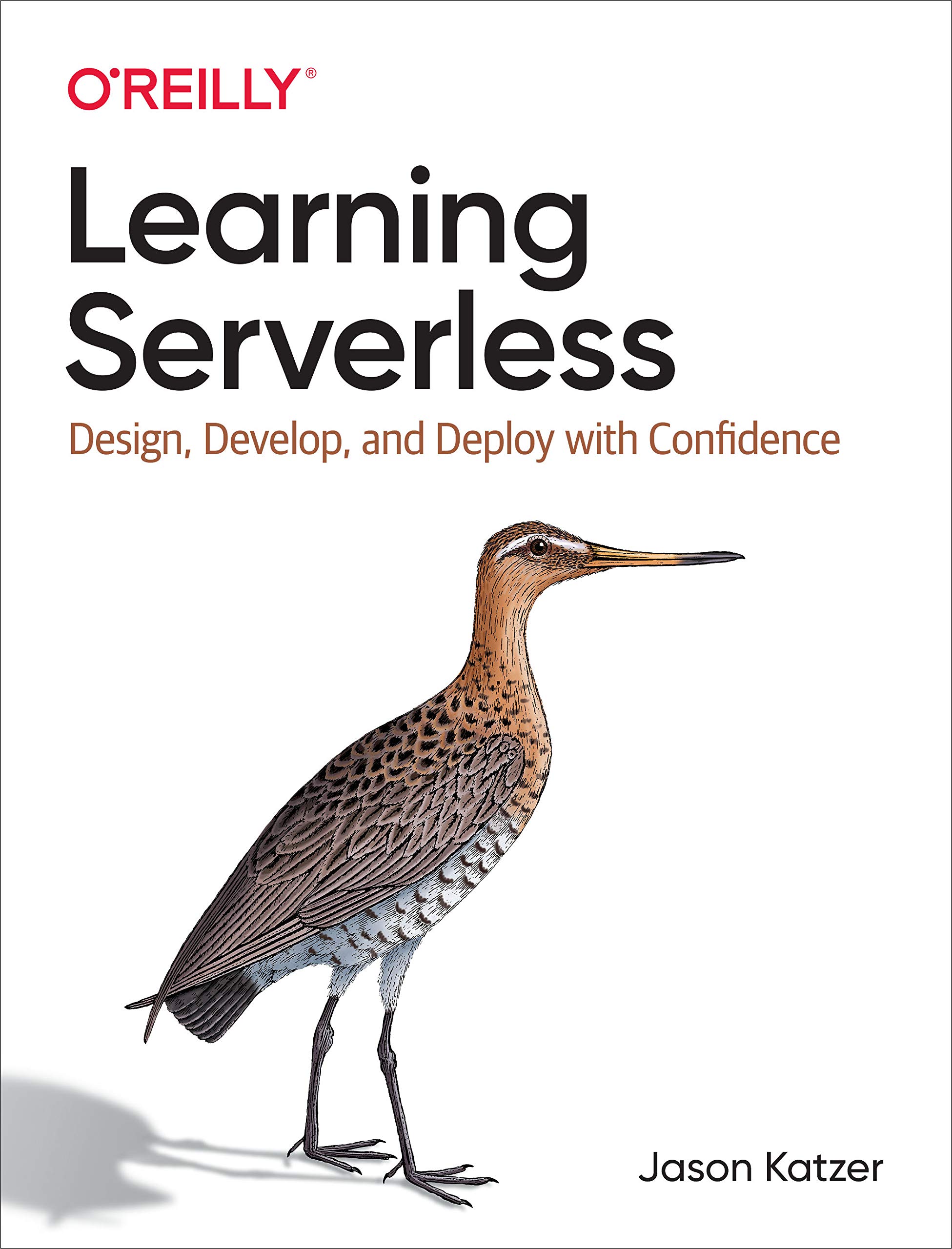 Learning Serverless: Design, Develop, and Deploy with Confidence (Kindle Edition)