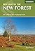 Walking In The New Forest