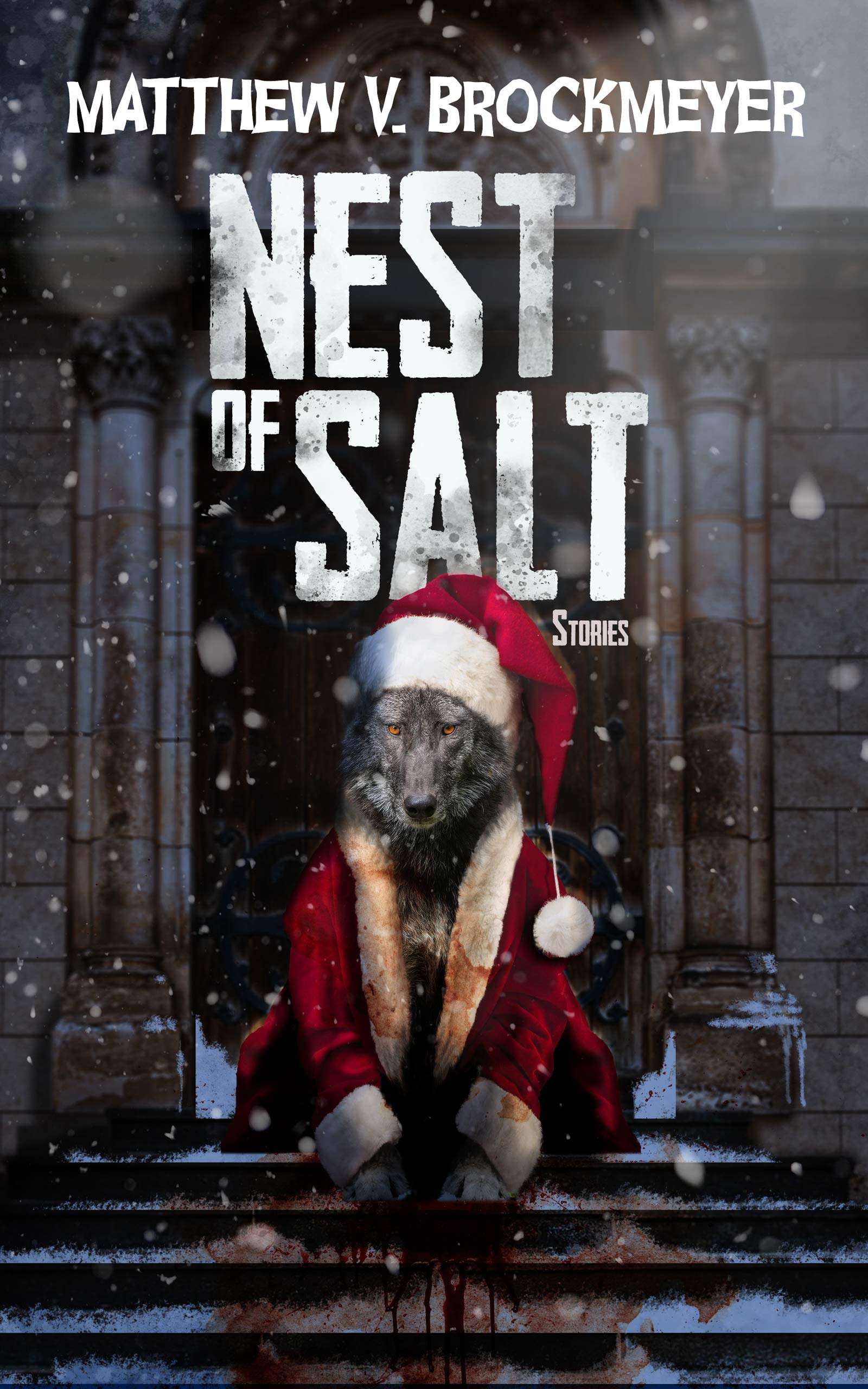 Nest of Salt (Kindle Edition)