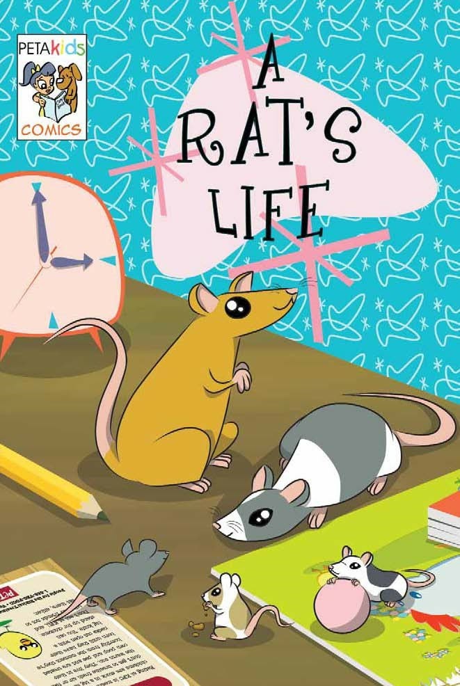 A Rat's Life (Paperback)