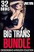 Big Trans Bundle: 32 BOOKS Transgender, Crossdressing, and Feminization Box Set Collection (Feminized Men and Transgender Women Romance Bundles)