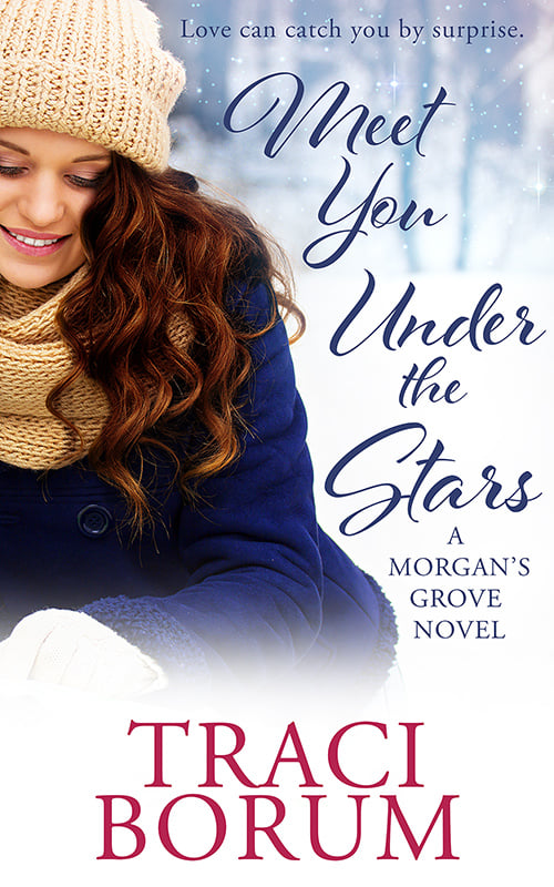 Meet You Under the Stars (A Morgan's Grove Novel #2)