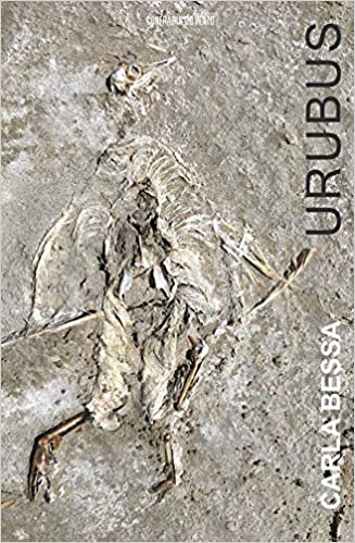 Urubus (Paperback)
