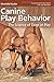 Canine Play Behavior: The S...