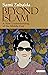 Beyond Islam: A New Understanding of the Middle East (Library of Modern Middle East Studies Book 84)