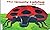 The Grouchy Ladybug
