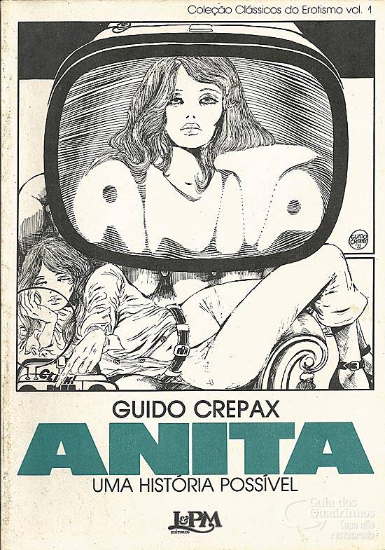 Anita: uma história possível (Paperback)