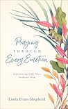 Praying through Every Emotion by Linda Evans Shepherd
