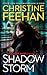 Shadow Storm (A Shadow Riders Novel)