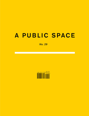 A Public Space no. 29