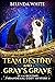 Team Destiny and Gray's Grave (Team Destiny #1) by Belinda White