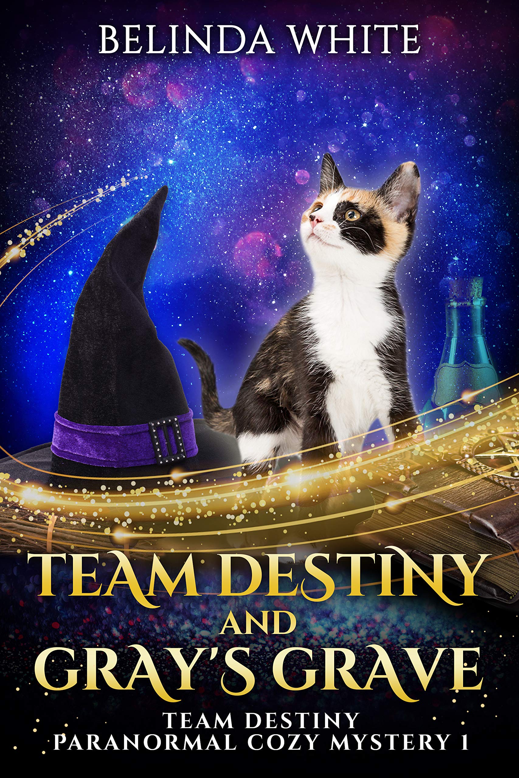 Team Destiny and Gray's Grave (Team Destiny #1)